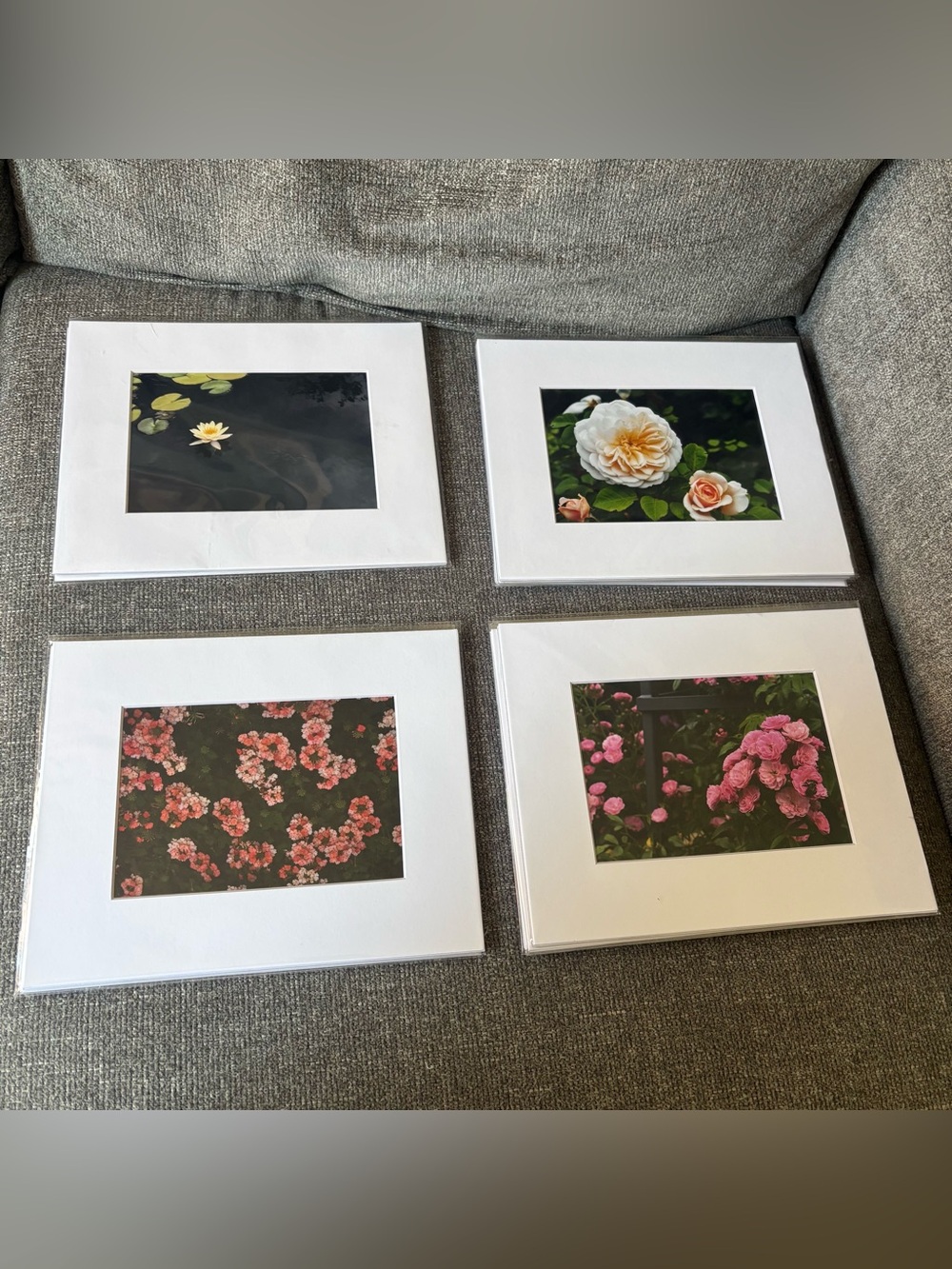 Original photography art prints matted frame 8x10